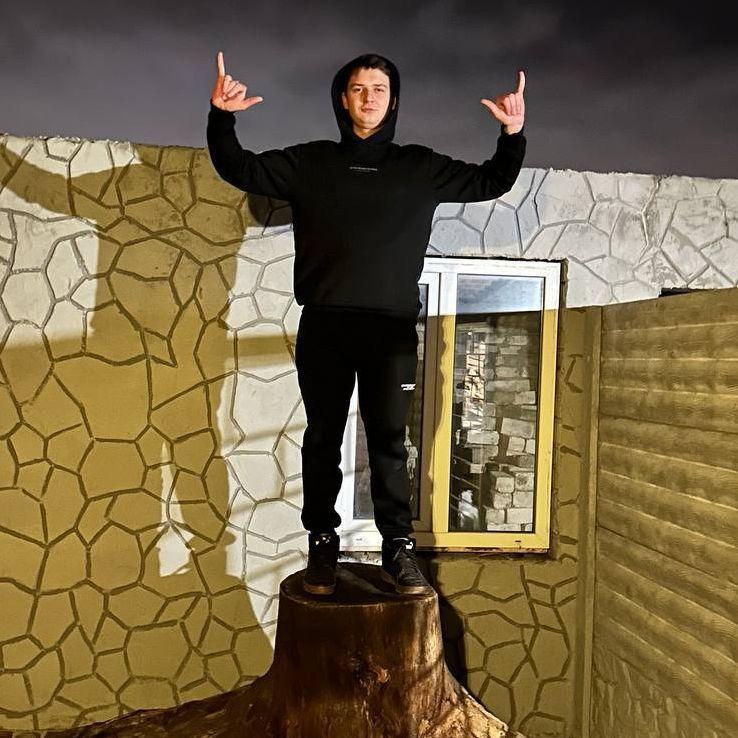 molfsein avatar