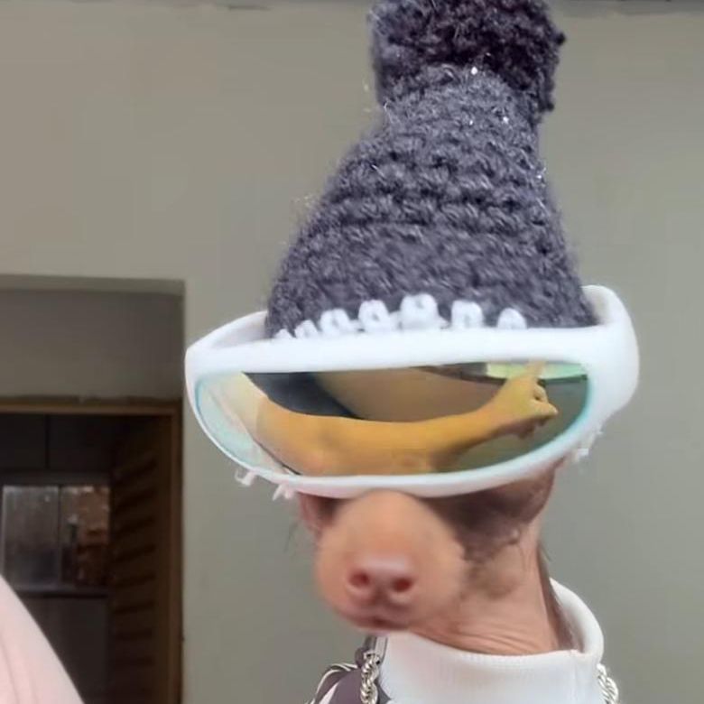DracaryZX