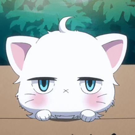 Dodger_GO avatar