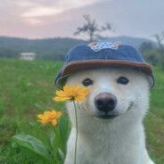 Faceit profile picture for @puf