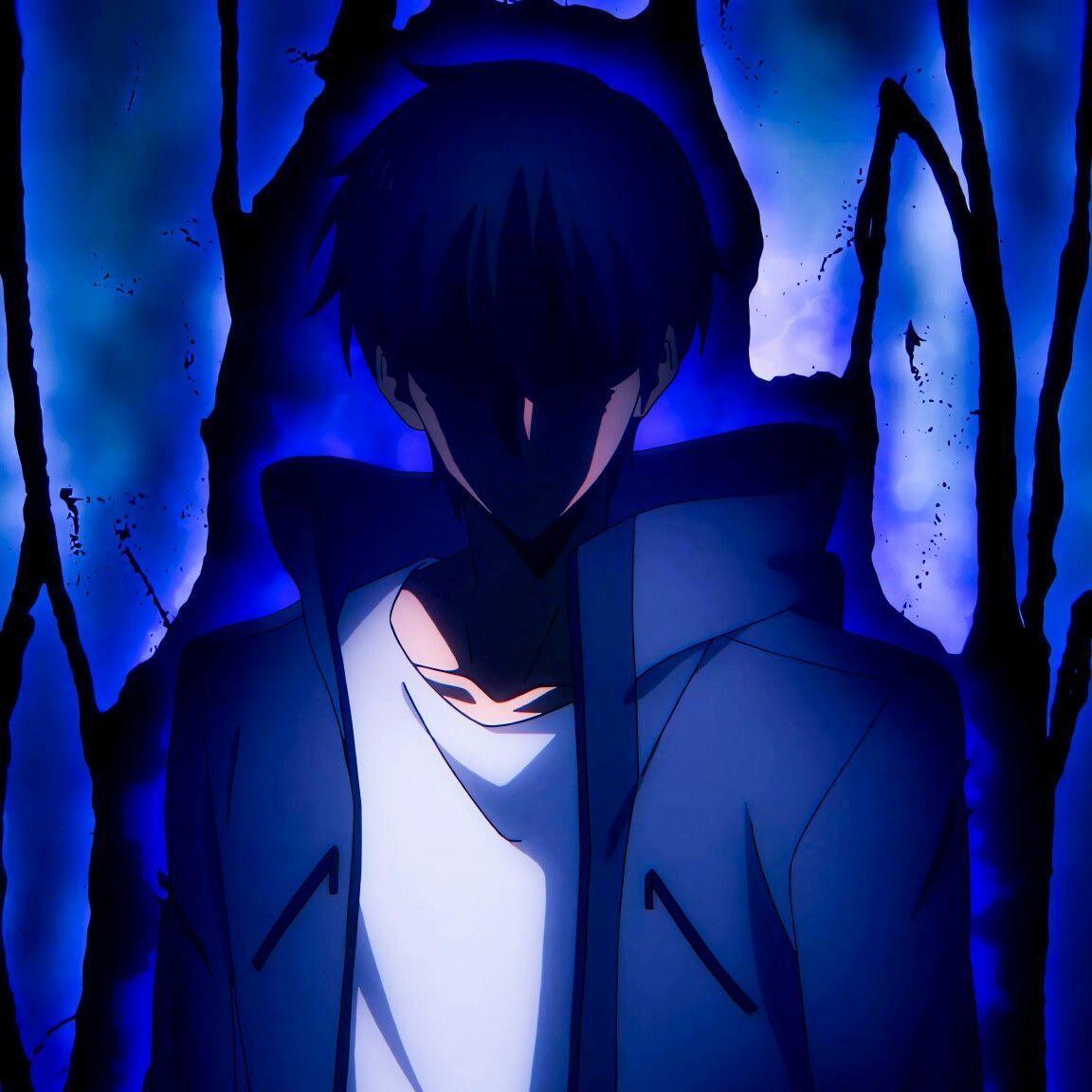 alikoko1 avatar