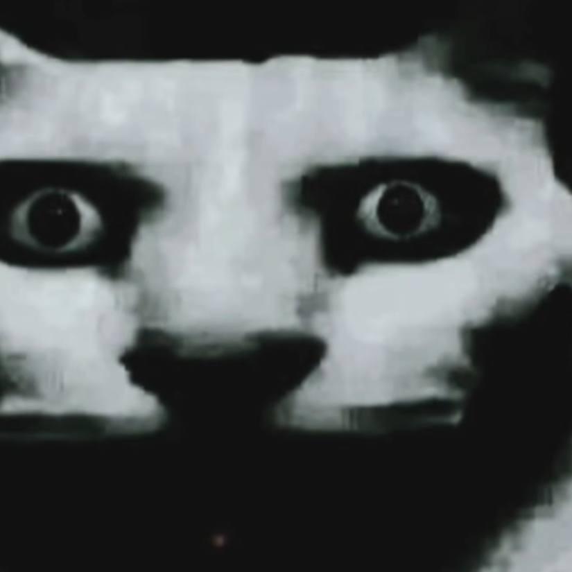 ohguesswho avatar