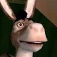 PS2_Donkey avatar