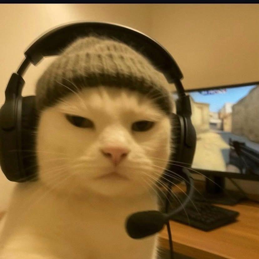 Chipsiik avatar