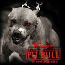 Pitbull2193 avatar