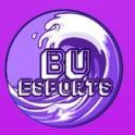 BournemouthCS2