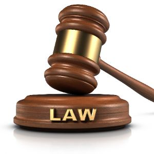 THE_LAW-_-