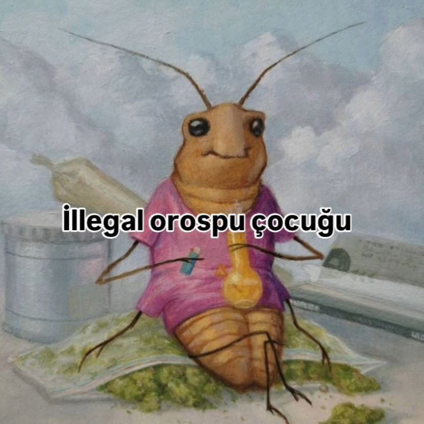 Zeaphyr_