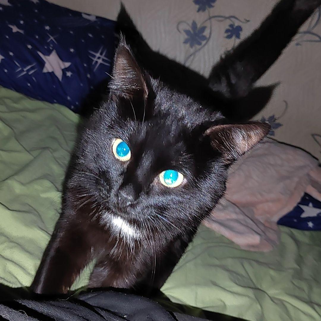 CaBkaa avatar