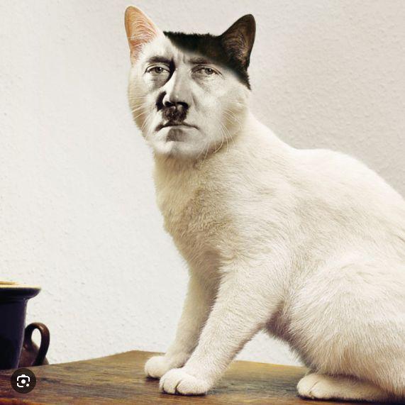 Masivul avatar