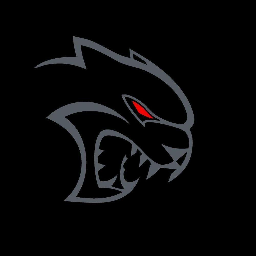 zBEMBIz avatar