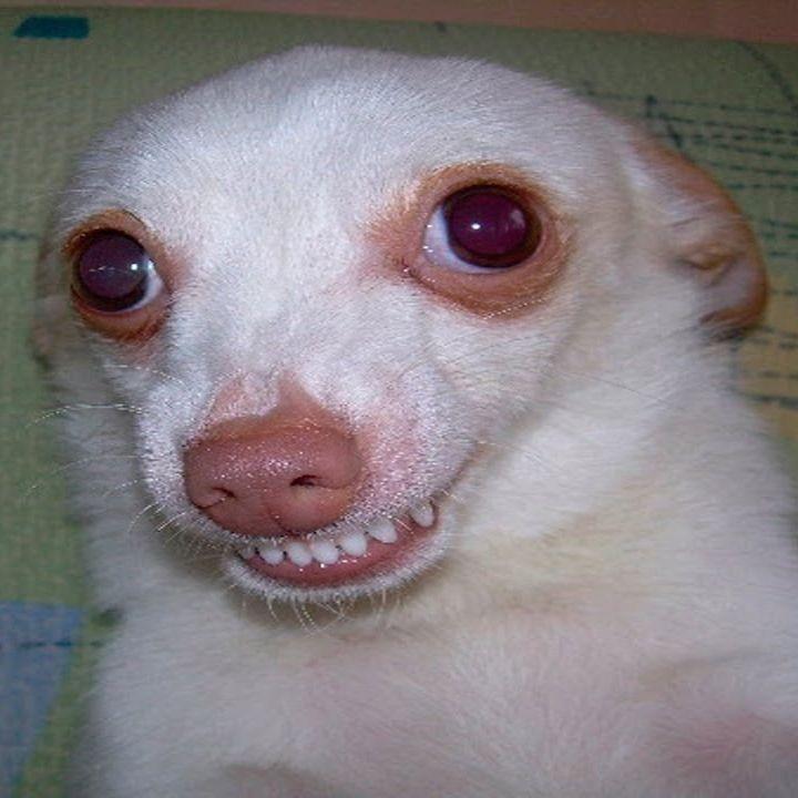 poqpka