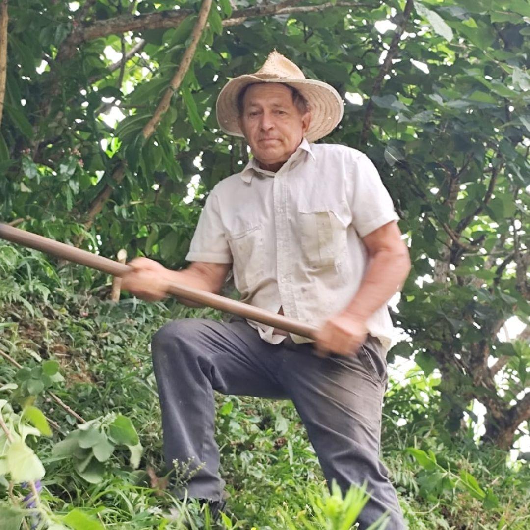 Cottagge avatar