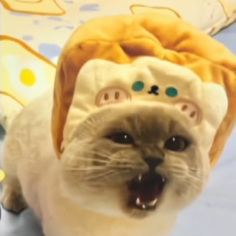 teeesciuu