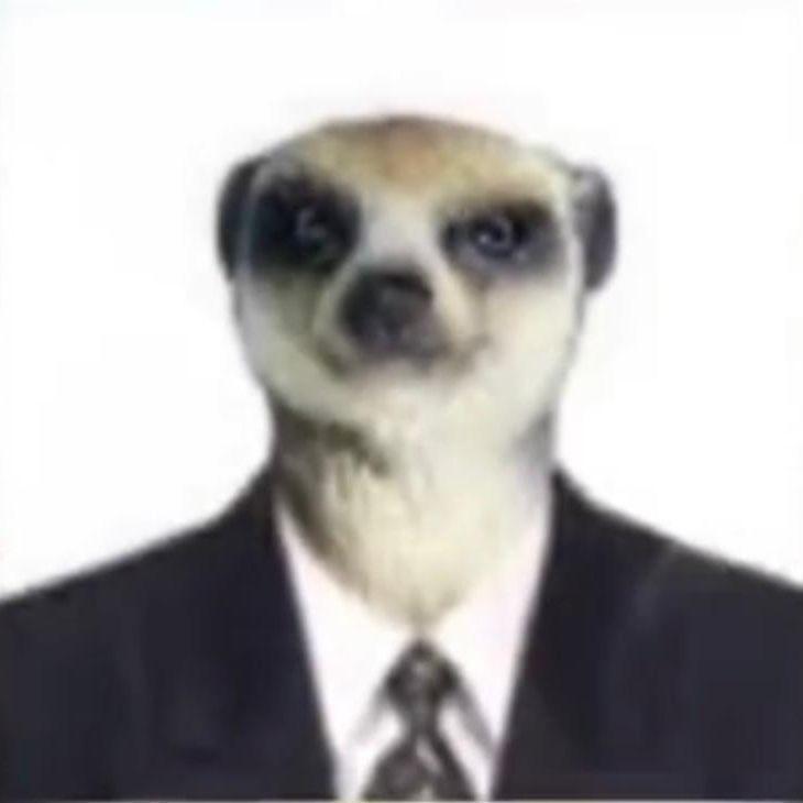 Kollean avatar