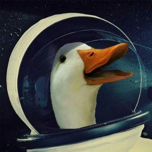 DuccSpace avatar