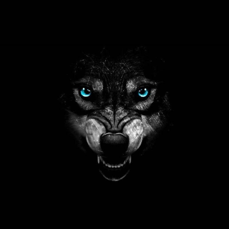 Yayce avatar