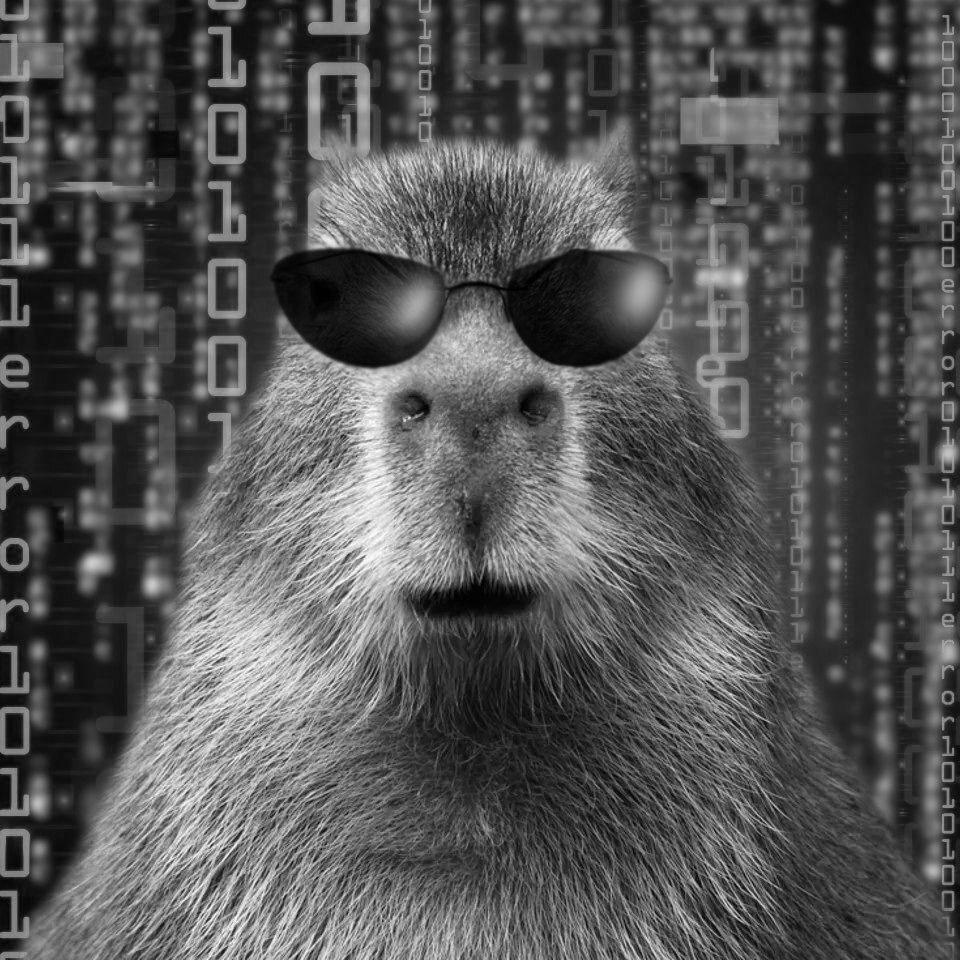 KapeeY avatar