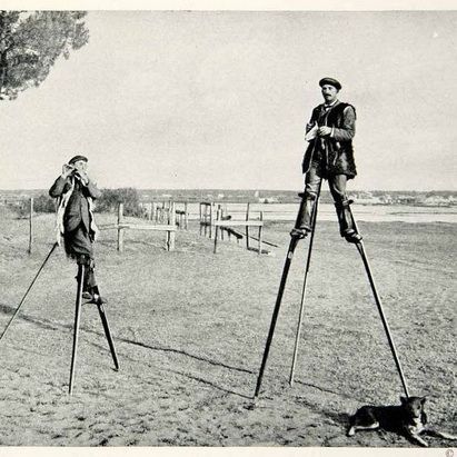 on stilts