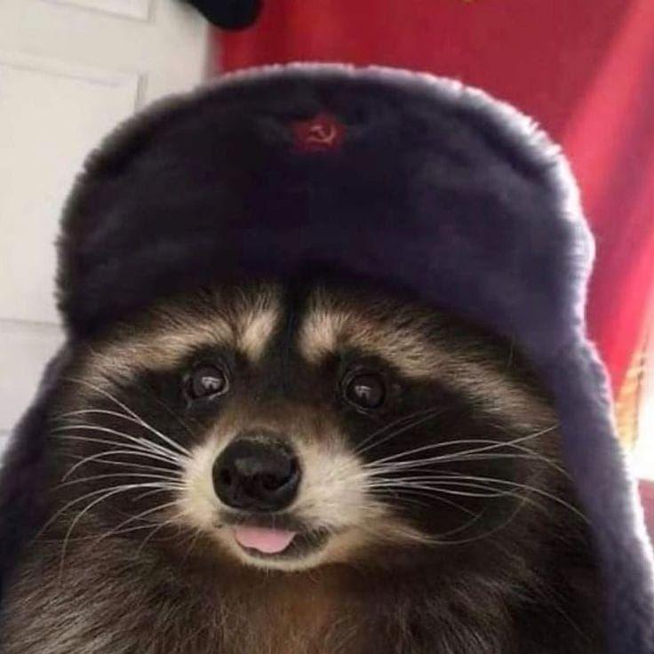 odkoh avatar