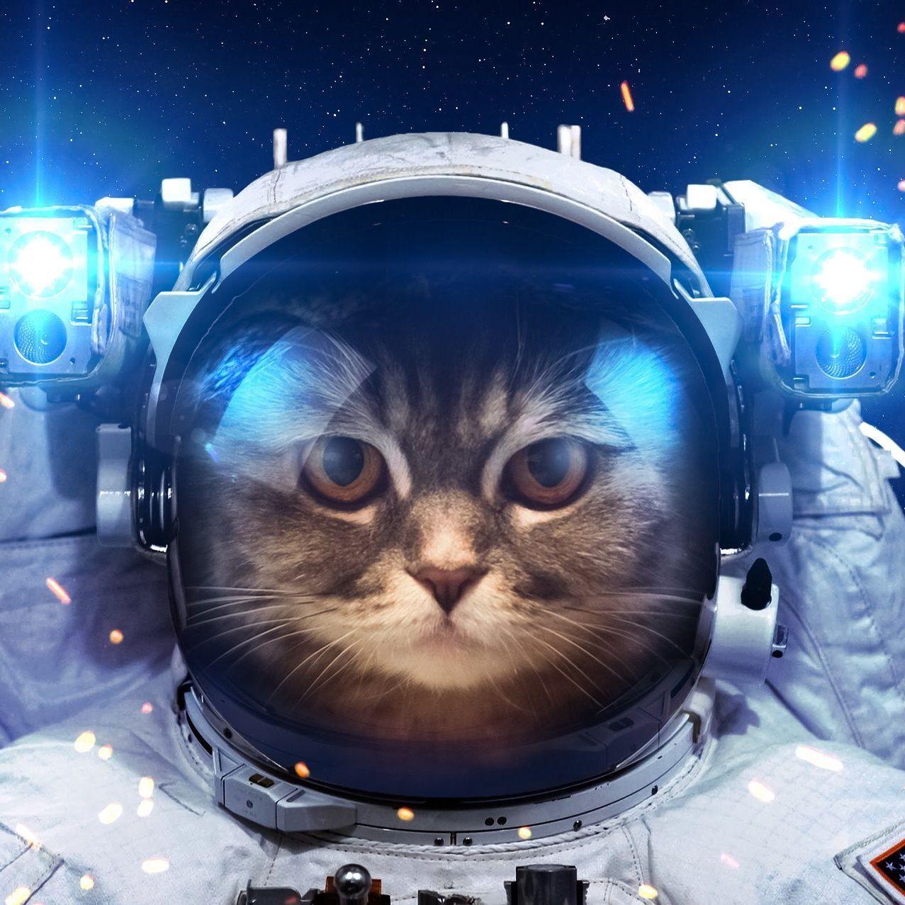 Skazka7