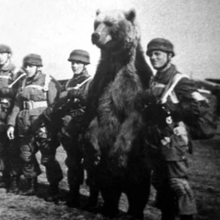 wojtek42