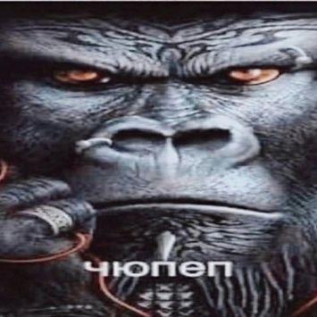 K1ng3e avatar