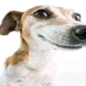 VANSRazer avatar