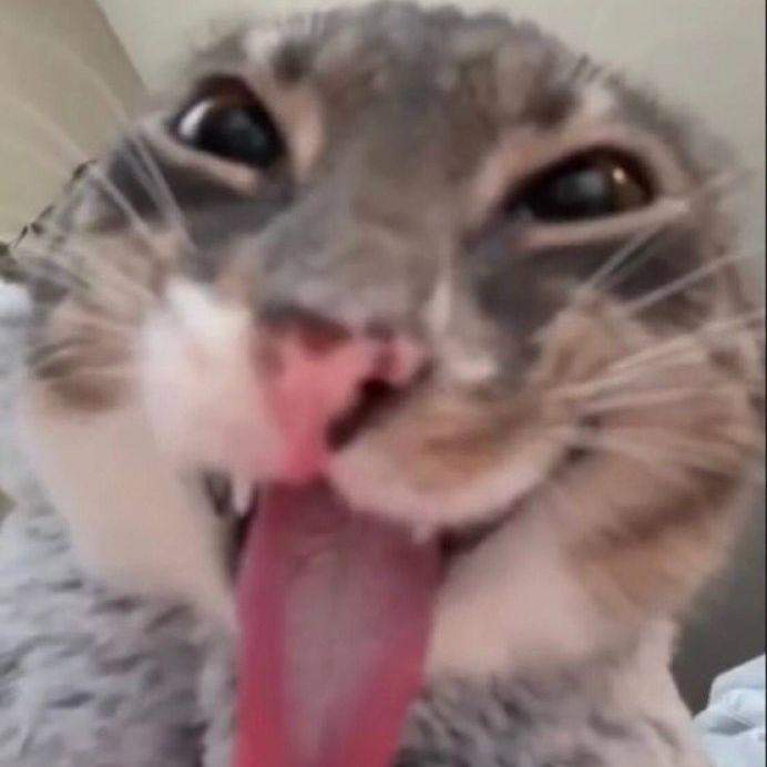 ltR666 avatar
