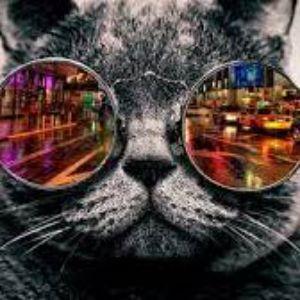 Ssamus avatar
