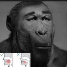 Aloyz