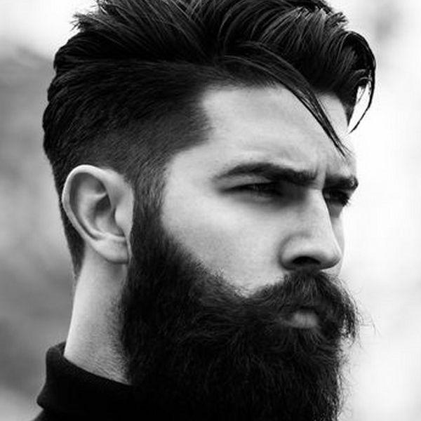 Zaur_Bull avatar