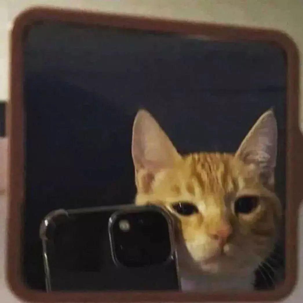 au_loffie avatar