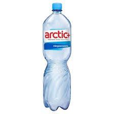Arcticus