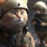 _kolonist avatar