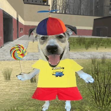 kariann FACEIT avatar