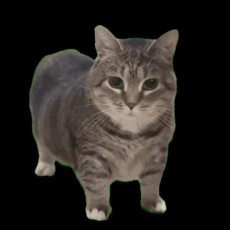 O_I_I_A