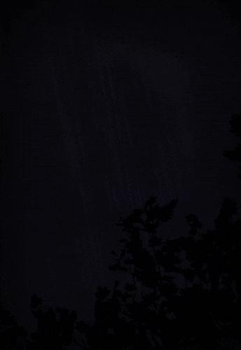 hinnz0r-
