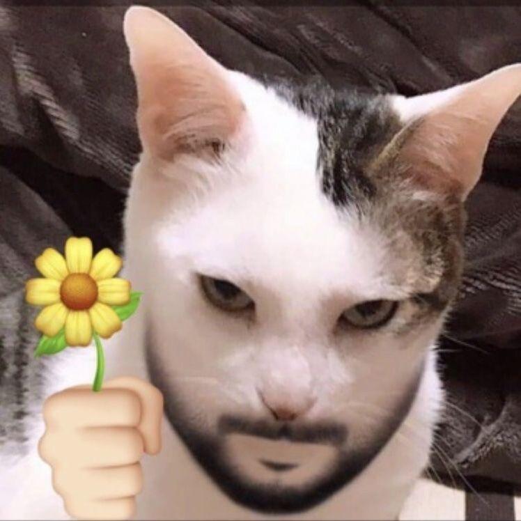 KIrYIHA avatar