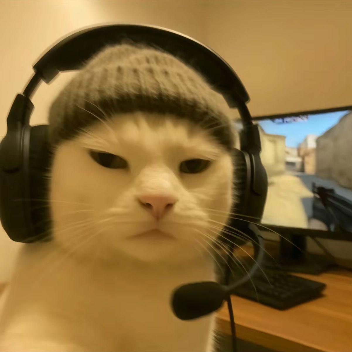Daezzyy