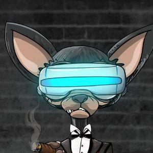 Player CAPOss avatar