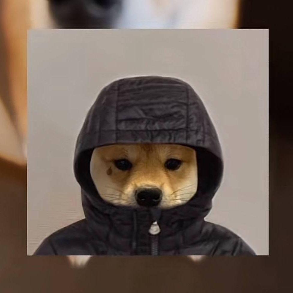 mir0sh9 avatar
