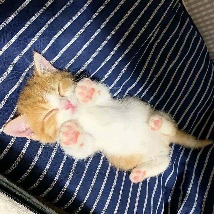 lauNXmode