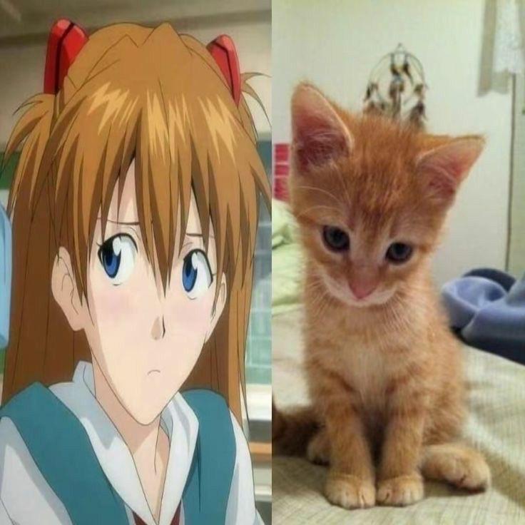wimmsi avatar