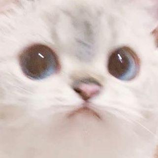 Potatums avatar