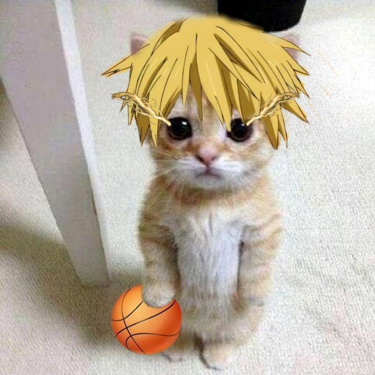 painfulfeel avatar