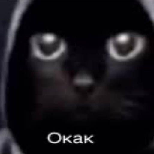 M0X1E
