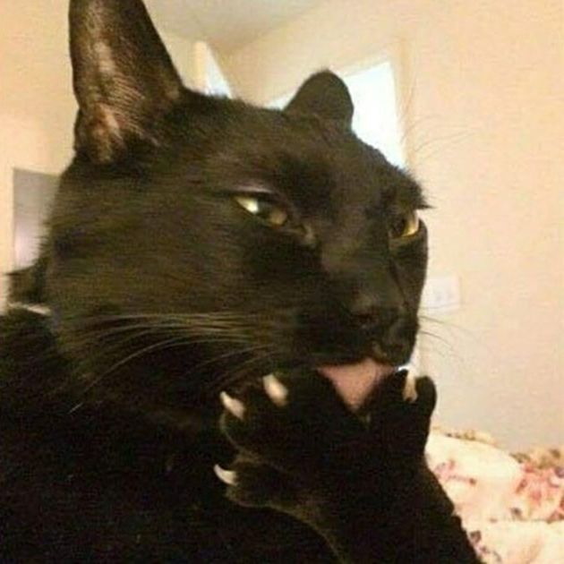 mihfl9