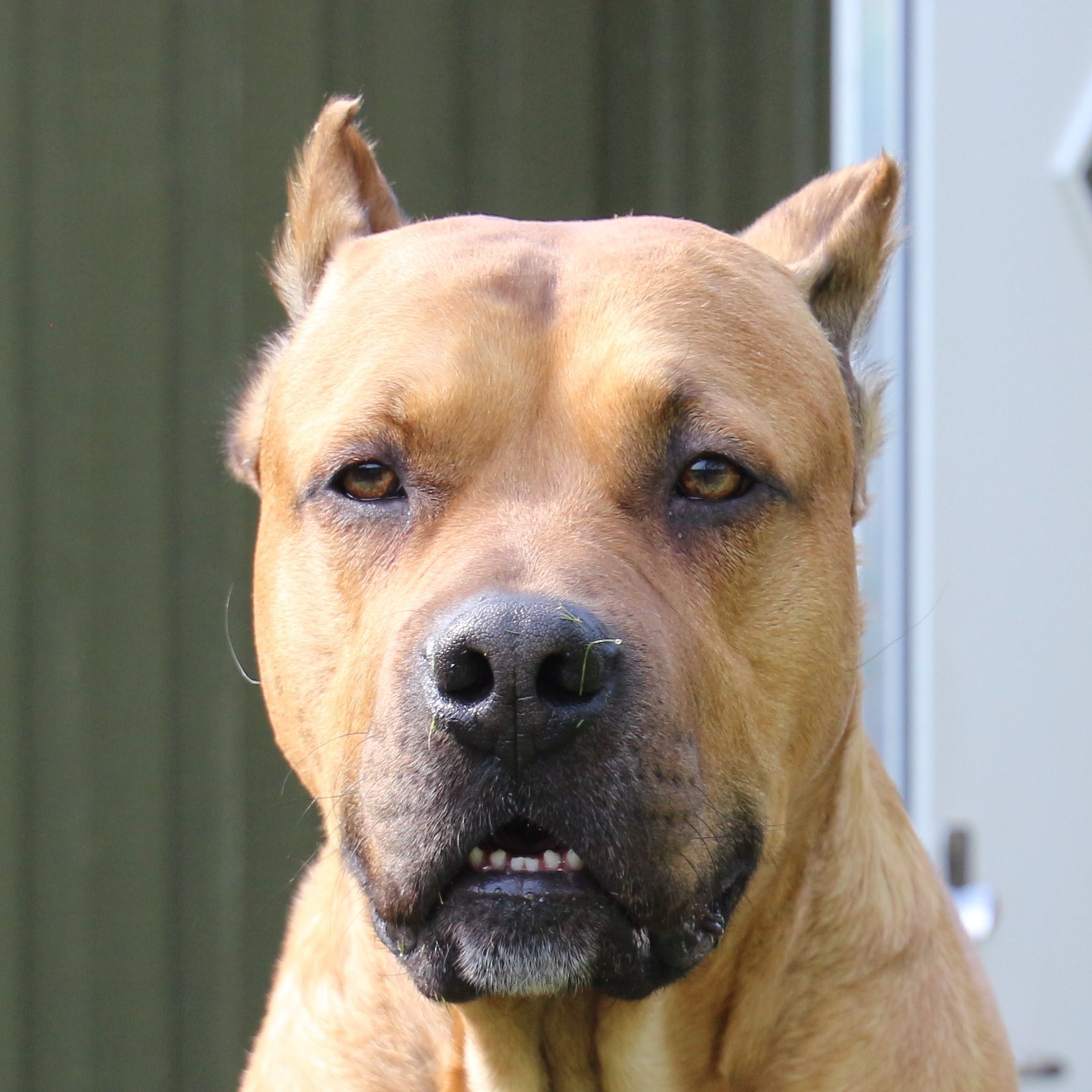 doby1202