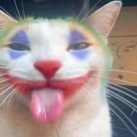 CoiiLz_ avatar
